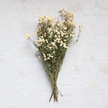Load image into Gallery viewer, Feverfew - Dried
