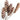 Dried Strobus Pine Cone on Stem