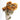 Dried Sunflower