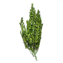 Load image into Gallery viewer, Boxwood - Preserved
