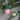 Ornament - Hanging Plant