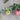 Ornament - Hanging Plant