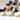 Feather Bird Set