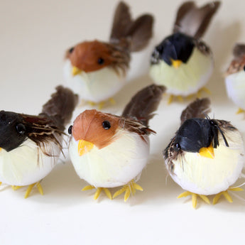 Feather Bird Set