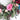 Rose Manor Wreath 18"