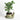 Mossy Terracotta Snail Planter