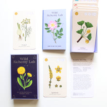 Load image into Gallery viewer, Wild Alchemy Lab : An Astro - Botanical Remedy Deck
