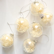 Load image into Gallery viewer, Ornament - Clear Glass Ball w/ Bleached Botanicals

