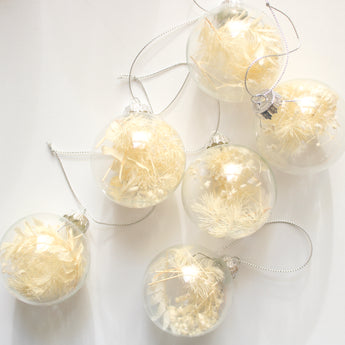 Ornament - Clear Glass Ball w/ Bleached Botanicals