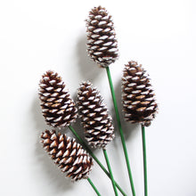 Load image into Gallery viewer, Pine Cones on Stem
