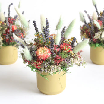 Botanica Collection Cup