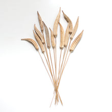 Load image into Gallery viewer, Okra on Stems - Dried
