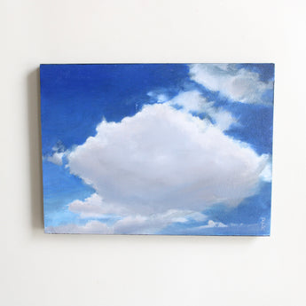 Cumulus Cloud Study