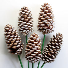 Load image into Gallery viewer, Pine Cones on Stem
