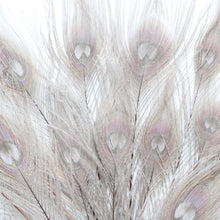 Load image into Gallery viewer, Peacock Feather - Dyed
