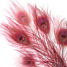 Load image into Gallery viewer, Peacock Feather - Dyed
