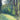 Hartwood Meadow Study