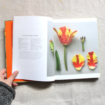 The Accidental Botanist: A Deconstructed Flower Book