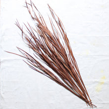 Load image into Gallery viewer, Wild Grass - Dried
