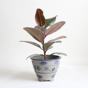 Blue Flower Planter