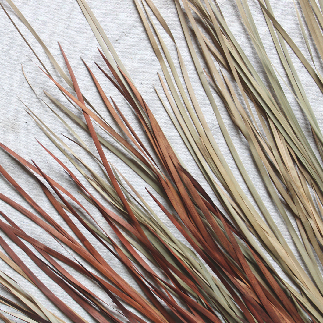 Wild Grass - Dried