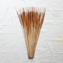 Load image into Gallery viewer, Pencil Cattails - Dried
