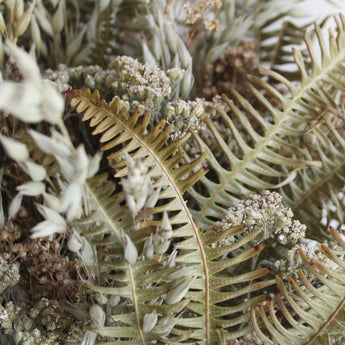 Fern Forest Wall Basket