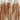 Dried Pencil Cattail