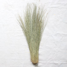Load image into Gallery viewer, Dune Grass - Dried
