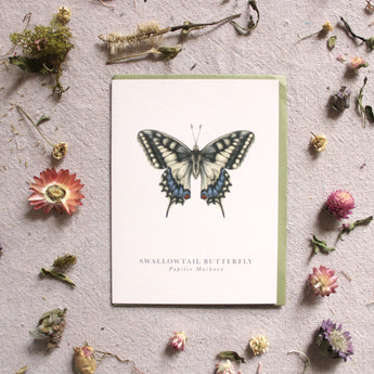 Greeting Cards - Everyday (Book & Botanics)