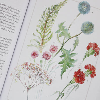 Forever Flowers: Growing And Arranging Dried Flowers