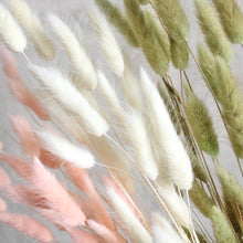Load image into Gallery viewer, Dried Bunny Tail

