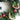 Winter's Fruit Wreath 10"