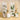 Diffuser (Theorie Botanique)