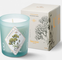 Load image into Gallery viewer, Fragranced Candle Herbarium Collection
