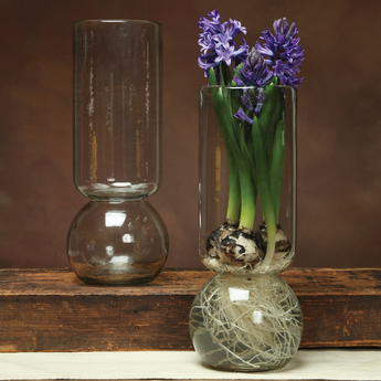 Bulb Vase