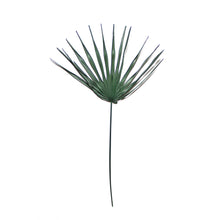 Load image into Gallery viewer, Palm Fronds - Preserved
