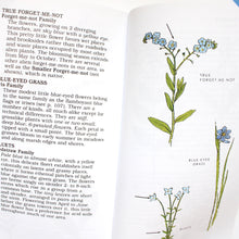 Load image into Gallery viewer, Peterson First Guide to Wildflowers
