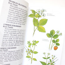 Load image into Gallery viewer, Peterson First Guide to Wildflowers
