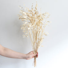 Load image into Gallery viewer, Sea Oats
