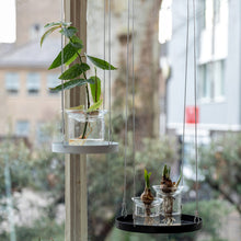 Load image into Gallery viewer, Propagation Vase
