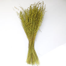 Load image into Gallery viewer, Princess Grass
