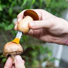 Load image into Gallery viewer, Mushroom Tool Keychain
