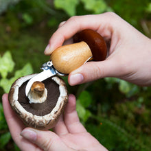 Load image into Gallery viewer, Mushroom Tool Keychain
