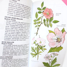 Load image into Gallery viewer, Peterson First Guide to Wildflowers

