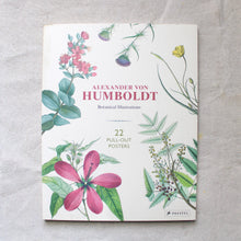 Load image into Gallery viewer, Alexander Von Humboldt Botanical Illustrations
