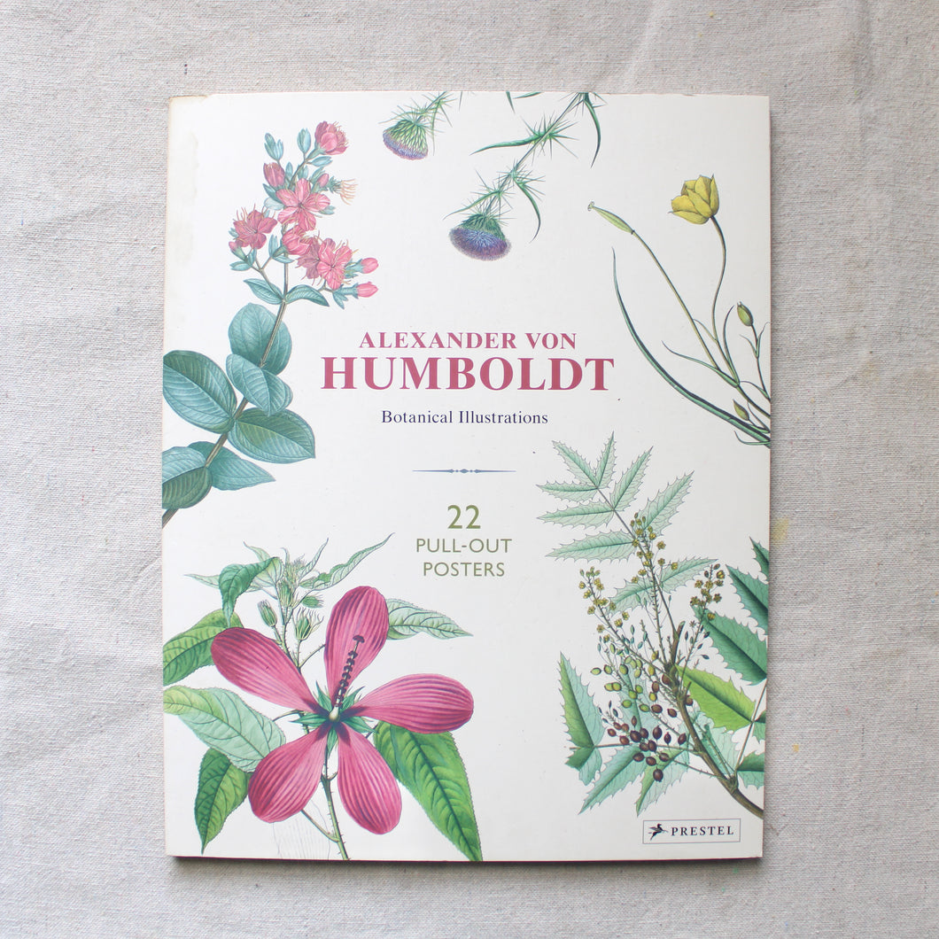 Alexander Von Humboldt Botanical Illustrations