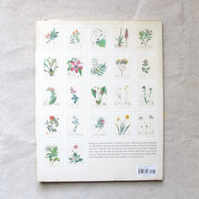 Load image into Gallery viewer, Alexander Von Humboldt Botanical Illustrations
