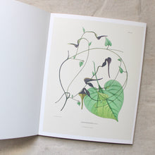 Load image into Gallery viewer, Alexander Von Humboldt Botanical Illustrations
