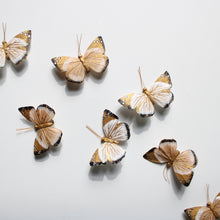 Load image into Gallery viewer, Butterflies (Paper &amp; Feather)
